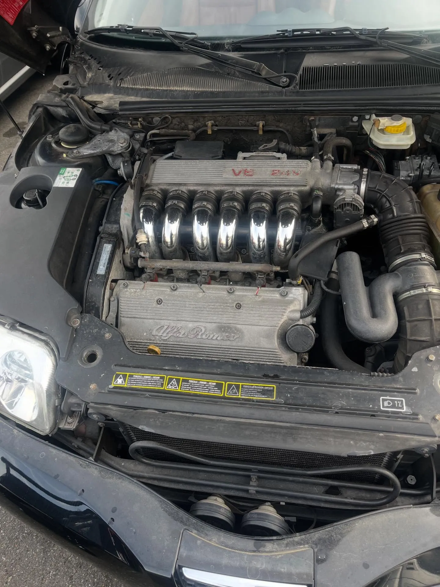 アルファロメオ916GTVのファンベルト、テンショナー、アイ...